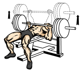 bench_press.png